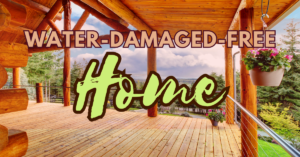 water-damaged-free home