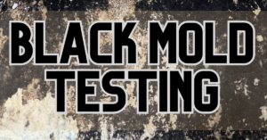 black mold testing