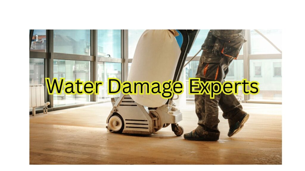 water damage expert