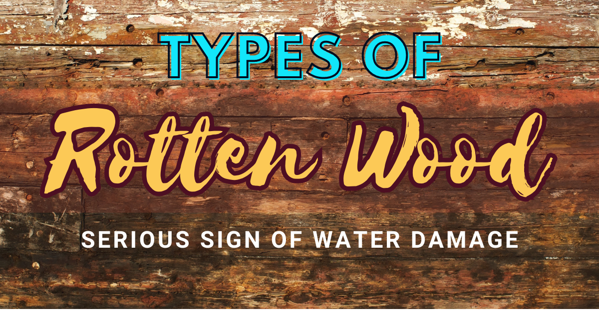 types of rotten wood