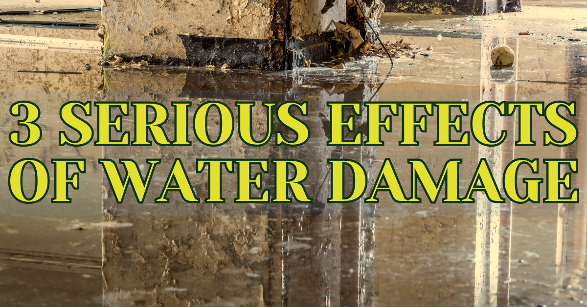 effects of water damage