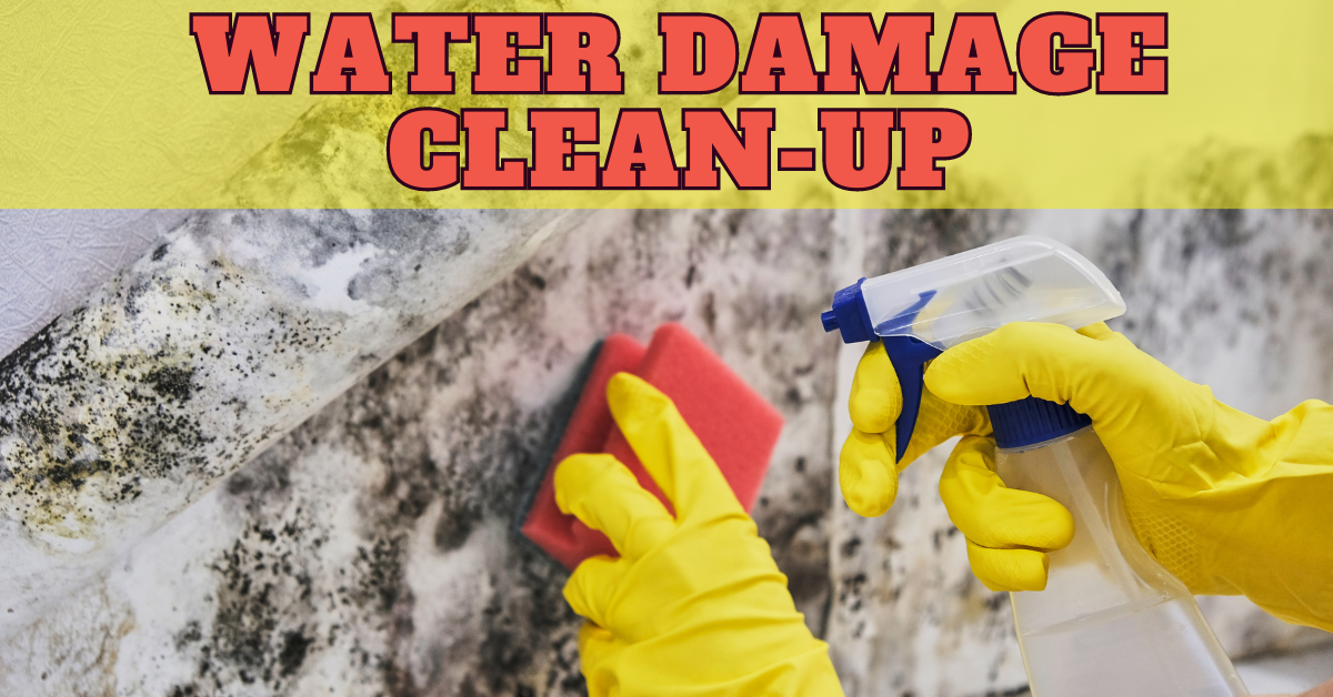 water damage clean-up