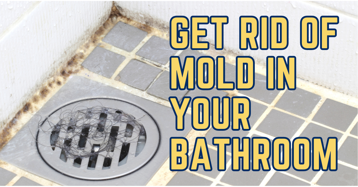 get rid of mold in your bathroom