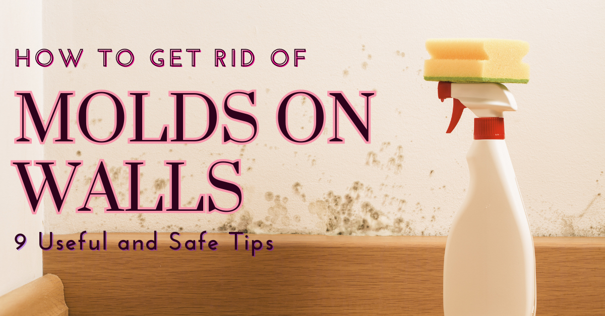 get rid of molds on walls