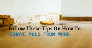 Follow These Tips On How To Remove Mold from Wood