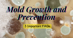 mold growth and prevention