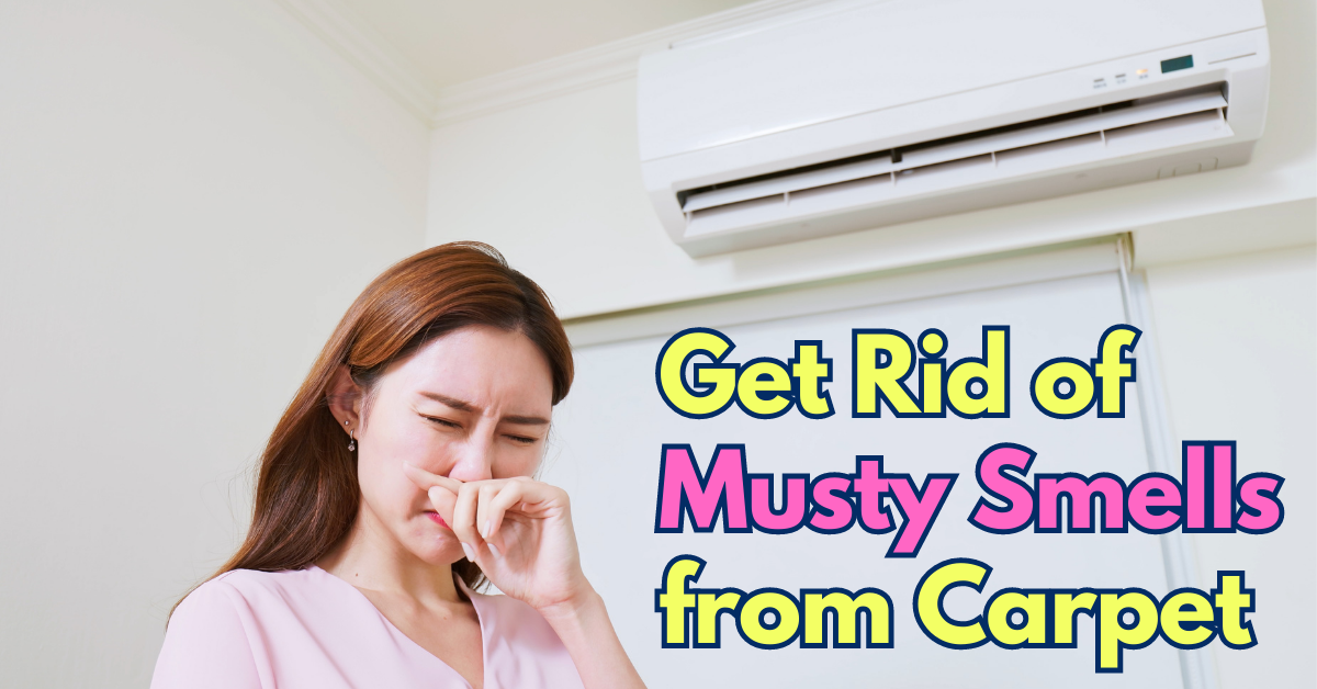 get rid of musty smells from carpet