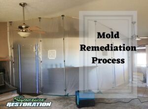 attic mold remediation