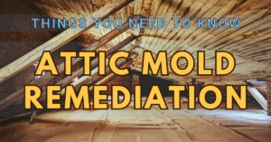 attic mold remediation